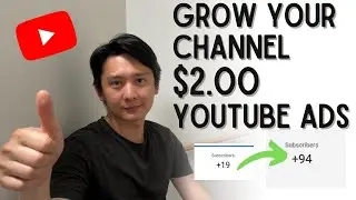 $2 YouTube Ads - Channel Growth with $2 a Day YouTube Ads | How to promote your YouTube channel