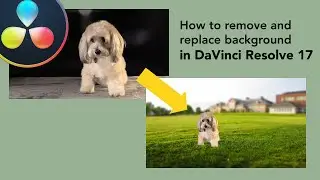 Remove background without green screen with the Magic Mask in DaVinci Resolve Studio 17.