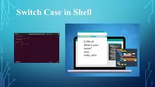 How to use Switch Case statements in Bash Programming in Linux #shellscripting