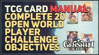 Complete 20 Open World Player Challenge objectives in total Genshin Impact