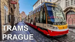 🇨🇿 Trams in Prague - Tramvaje v Praze (4K) (2020)