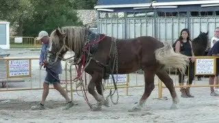 ЛОШАДИНЫЕ СОРЕВНОВАНИЯ  ИСПАНИЯ ВАЛЕНСИЯ