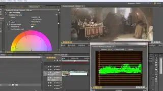 YC Waveform Graph in Premiere Pro