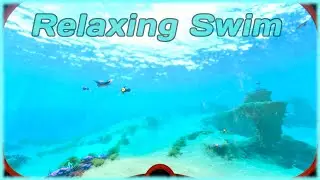 Relaxing Swim Across Subnautica 4k