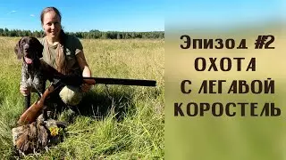 ОХОТА С ЛЕГАВОЙ. КОРОСТЕЛЬ. Эпизод #2
