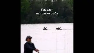 Рыбалка в Бисерово #рыбалка #соревнования #fishing