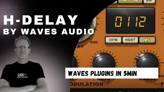 It's my go to Delay. Waves Audio Plugin in 5 min - H-Delay - Hybrid Delay 