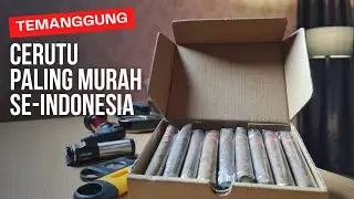 Review Cerutu Paling Murah Se-Indonesia | Havana Extra Fine