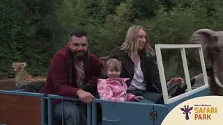 Jungle Jeeps at West Midlands Safari Park