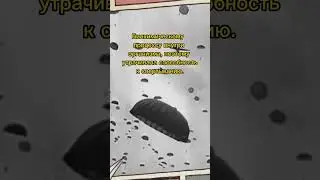 Трупы спасали людей😱⁉️ 