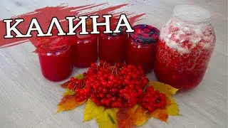 КАЛИНА на ЗИМУ з ЦУКРОМ два КРАЩИХ Способи ЗБЕРЕГТИ ВІТАМІНИ