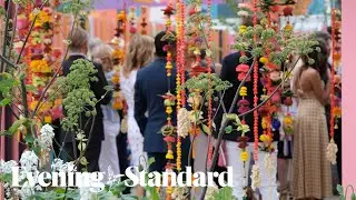 Chelsea Flower Show 2023: A sneak peak