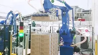 Робот-ячейка Yaskawa MPL 160II на 2 палеты и конвейер InterSystem