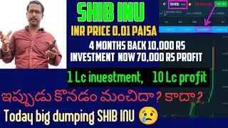 SHIB INU Coin today price 1Pisa // Today dumping  next buying price ?