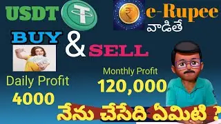 Daily 4000 Rs to 120000 Rs profit business // Details e-Rupee ట్రాన్స్ఫర్ చేయొచ్చా