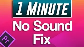 Premiere Pro Not Importing Audio to Sequence | No Sound FIX