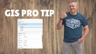 ArcGIS Pro Quick Tip - Field Properties at a Glance