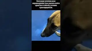 На нее никто не обращал внимания #shorts