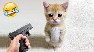 Funniest Animals 😂 Funny Cats and Dogs 2023 😺🐶 Part 21