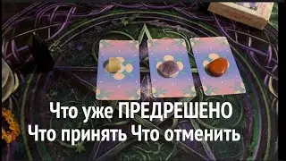 ЧТО УЖЕ ПРЕДРЕШЕНО🔔 Что принять Что отпустить✅ Таро Онлайн Расклад/ Таро DIAMOND WAY