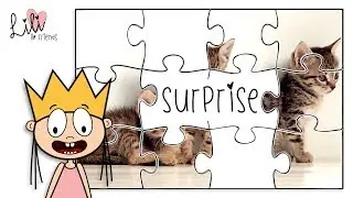 Princess Lili | Surprise Puzzle For Kids | Guess what? | Learn Animals | Kittens Elephant Flamingo