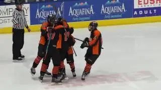 Brighton vs. Detroit Catholic Central - 2017 Division 1 Hockey Final Highlights