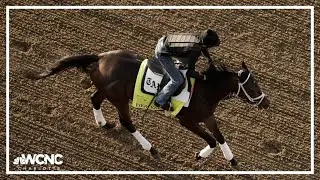 Fierceness the favorite for 150th Kentucky Derby