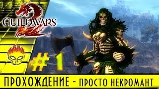 Guild Wars 2 на русском. Полное прохождение #1 за некромант, начало пути, первая локация и квесты