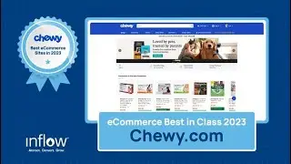 Best eCommerce Website of 2023: Chewy.com