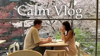 CALM VLOG: поездка в Сеул, свидания в Корее, день рождения и гастротур 🇰🇷