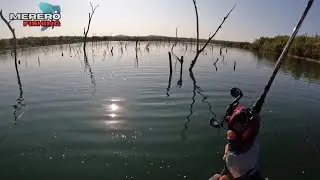 Tocantins 2024 EP 01 - Cardume GIGANTE de Tucunaré um atrás do outro na Pescaria Lago Angical-TO