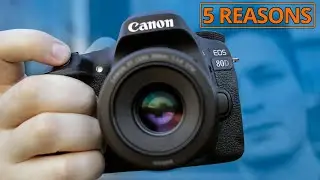 CANON 80D - Why is This a Great Camera (5 REASONS)