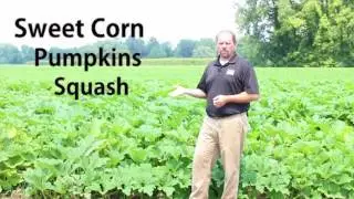 FSMA Produce Rule 3   Rarely Consumed Raw and Personal Use