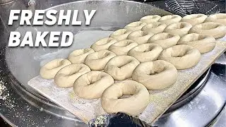 FRESH BAGELS | Breakfast Sandwiches | How Bagels are made | Los Angeles Food