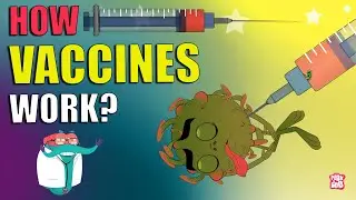 How Vaccines Work? | VACCINATION | Importance Of Vaccine | The Dr Binocs Show | Peekaboo Kidz