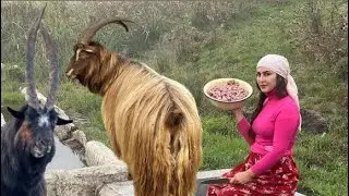 The women of the mountains are cooking bread and food 