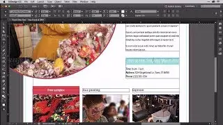 Giving Text Background Colors with Paragraph Shading in InDesign CC