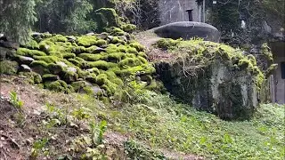 WW2-BUNKER + PILZE IN POLEN