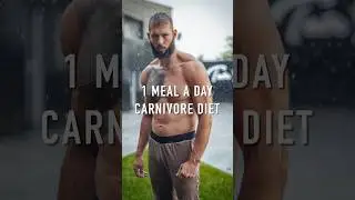 1 MEAL CARNIVORE DIET