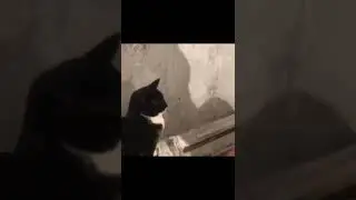 его имя Роберт Полсон 