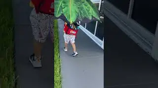 Big Umbrella/ Hot Summer / Daniel and umbrella ☔️🥳🥳🥳/ Данила и Большой Зонт