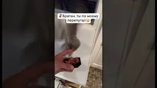 Братан ты по моему перепутал 