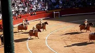 Paseíllo en Valencia