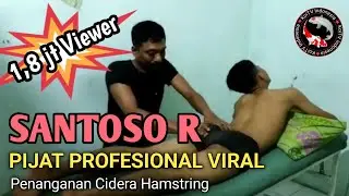 PIJAT PROFESIONAL VIRAL 1,8 JT VIEWER ( SANTOSO R )