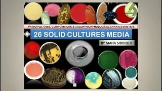 Culture Media | An Overview Of 26 Solid Culture Media/Agar Used In The Microbiology Lab.