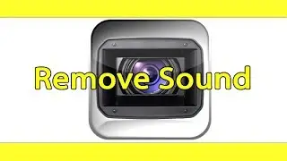 How to remove audio/sound from a video with Sony Vegas?