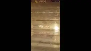 Проследил за братом и его девушкой 🔞✔↗