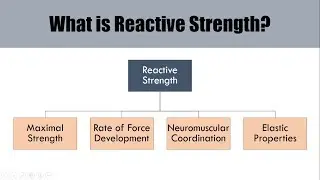 What is Reactive Strength? | The Underlying Qualities