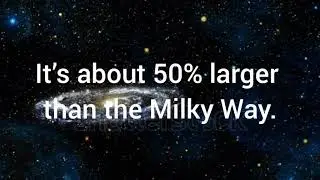 Spiral Galaxy (Galactic Shape),Astronomy (Field Of Study),Andromeda Galaxy (Galaxy),Andromeda (Const