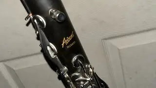 Can't help falling in love with you by Elvis Presley, bass clarinet cover